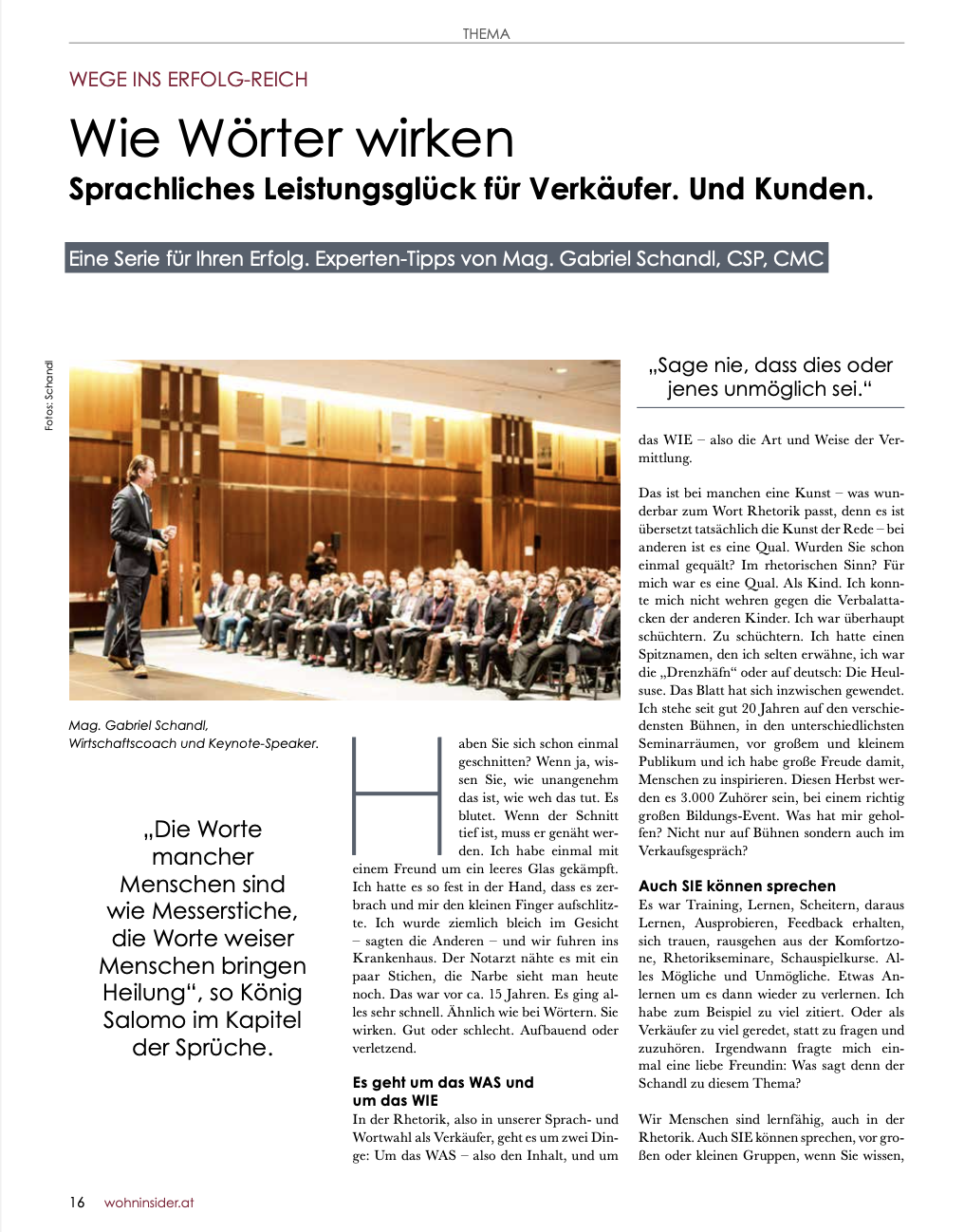 Gabriel Schandl in den Medien